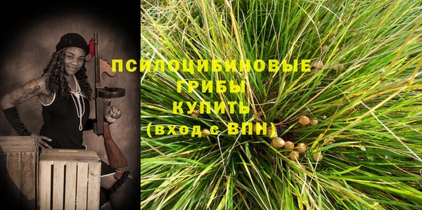 стафф Липки