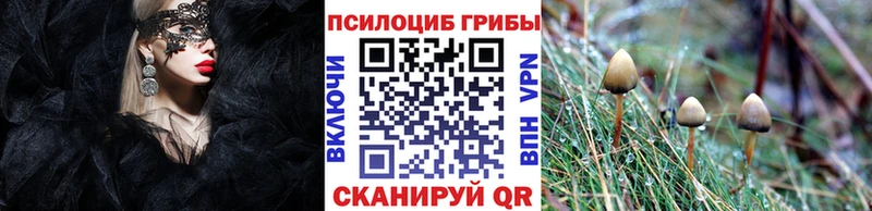 Галлюциногенные грибы MAGIC MUSHROOMS  Купить где  Андреаполь 